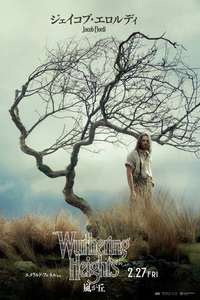  Wuthering Heights  - Posters