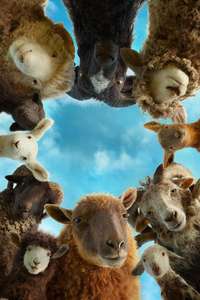 The Sheep Detectives - Posters