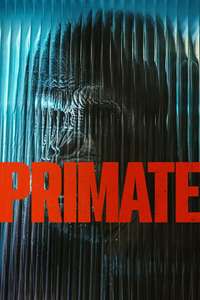 Primate - Posters