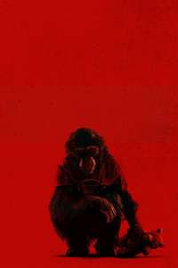 Primate - Posters