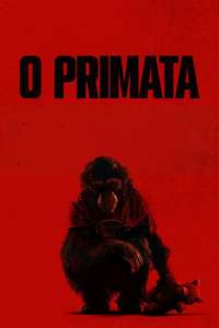 Primate - Posters