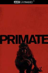 Primate - Posters