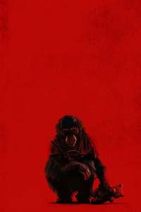 Primate - Posters