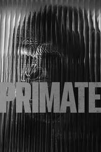 Primate - Posters