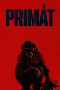 Primate - Posters