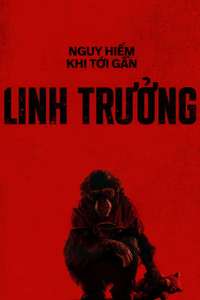 Primate - Posters