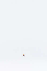 Minions & Monsters - Posters