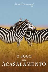 The Mating Game - Posters