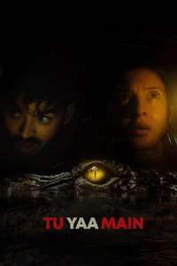 Tu Yaa Main - Posters