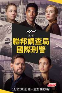 FBI: International - Posters