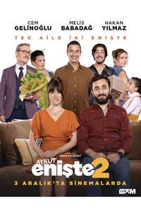 Aykut Enişte 2 - Posters