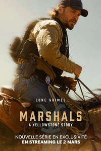 Y: Marshals - Posters