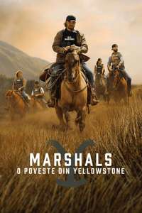 Y: Marshals - Posters