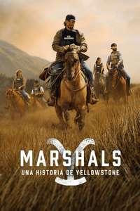 Y: Marshals - Posters