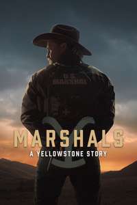 Y: Marshals - Posters