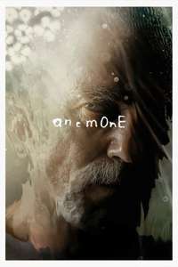 Anemone - Posters