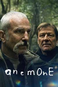 Anemone - Posters