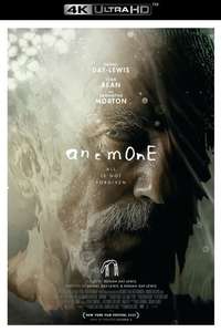 Anemone - Posters