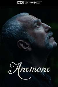 Anemone - Posters