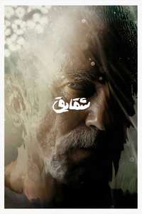 Anemone - Posters