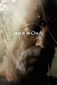 Anemone - Posters