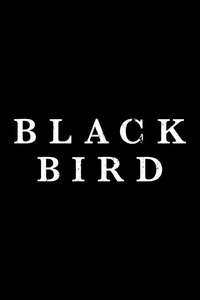 Black Bird - Posters