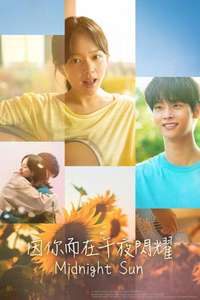 Midnight Sun - Posters