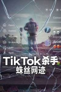 The TikTok Killer - Posters