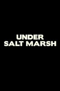 Under Salt Marsh - Posters
