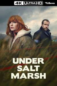 Under Salt Marsh - Posters