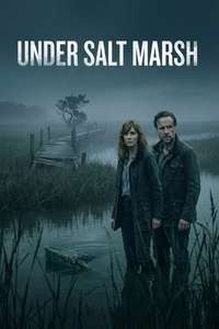 Under Salt Marsh - Posters