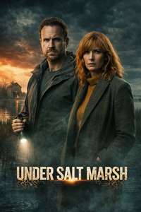 Under Salt Marsh - Posters