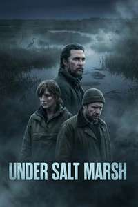 Under Salt Marsh - Posters