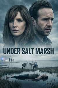Under Salt Marsh - Posters