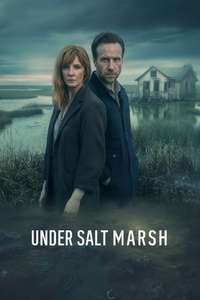 Under Salt Marsh - Posters