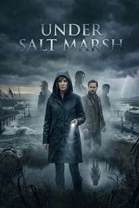 Under Salt Marsh - Posters