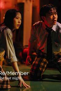 Re/Member: The Last Night - Posters