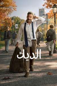 Rooster - Posters