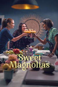 Sweet Magnolias - Posters