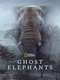 Ghost Elephants