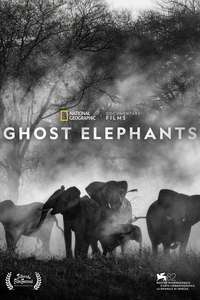 Ghost Elephants - Posters