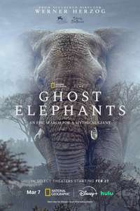 Ghost Elephants - Posters