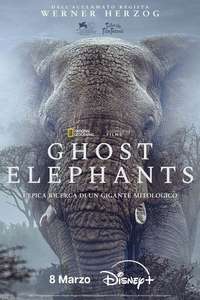 Ghost Elephants - Posters