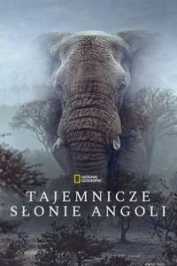 Ghost Elephants - Posters