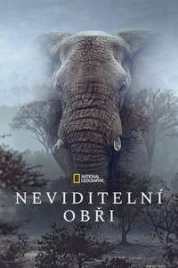 Ghost Elephants - Posters