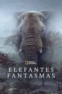 Ghost Elephants - Posters