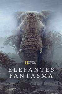 Ghost Elephants - Posters