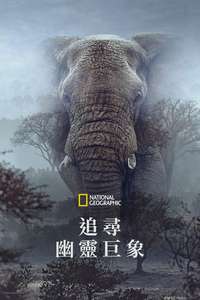 Ghost Elephants - Posters