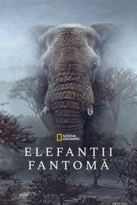 Ghost Elephants - Posters