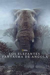Ghost Elephants - Posters